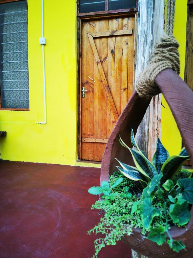 Shanka Lodge Zanzibar Kizimkazi Εξωτερικό φωτογραφία